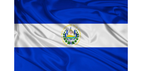EMBASSY OF EL SALVADOR logo