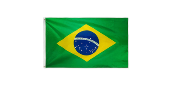 EMBASSY OF THE FEDERATIVE REPUBLIC OF BRAZIL logo