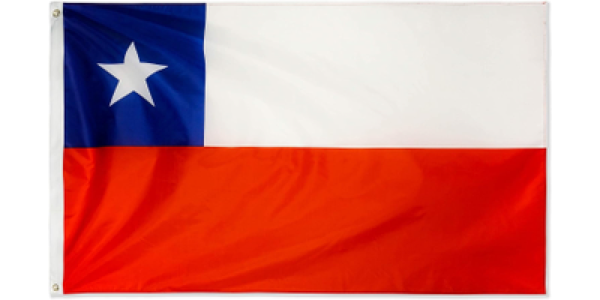 EMBASSY OF THE REPUBLIC OF CHILE logo