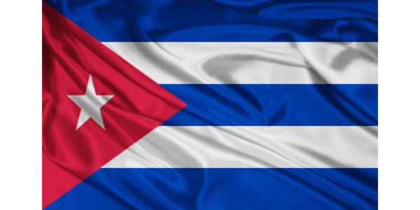 EMBASSY OF THE REPUBLIC OF CUBA logo