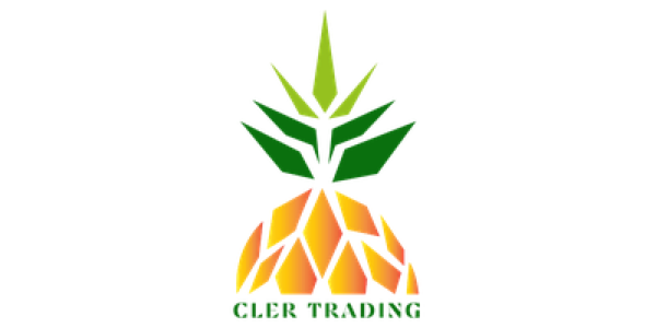 Villalobos Trading PTE. LTD logo